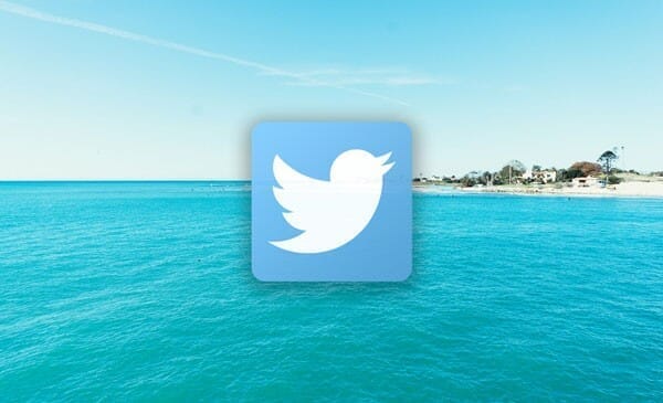 image-with-tweet-top