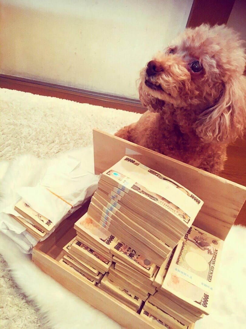 CEOTOKYO-DwexTZvUYAAK1bZ